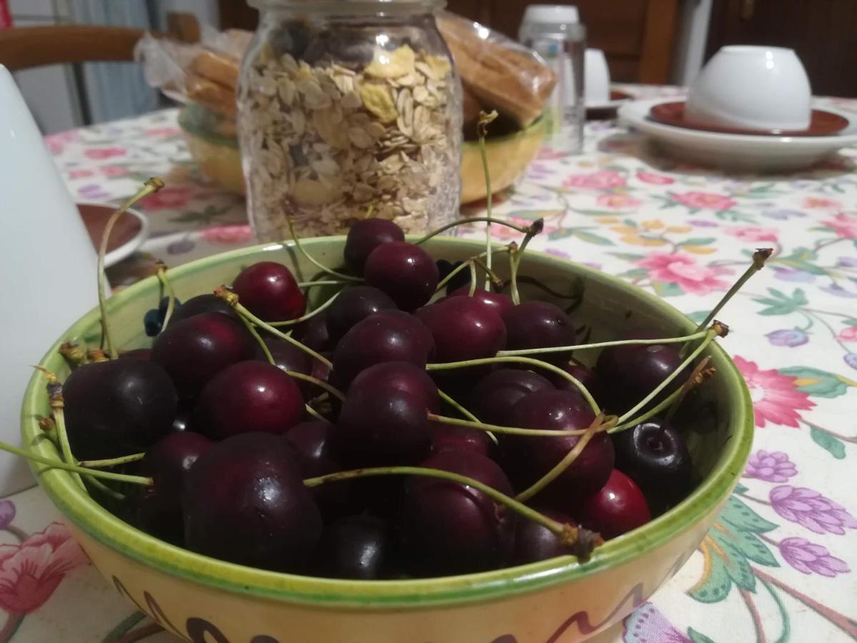 San Raffaele Cimena A Casa Di Carla B&B المظهر الخارجي الصورة